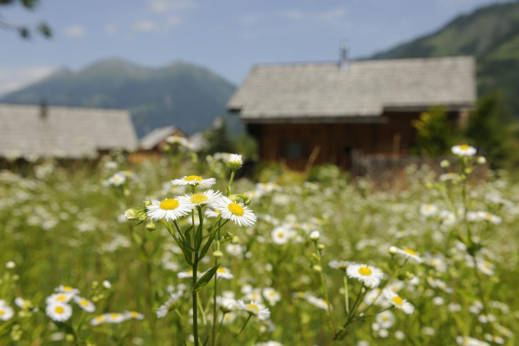 Landgut Moserhof Penk Exterior foto